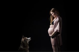 Husky auf Babybauchfotos_Berlin © Miriam Ellerbrake, 2018