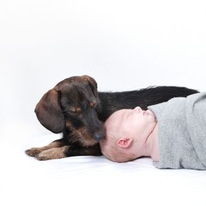 Neugeborenenfoto mit Hund © Miriam Ellerbrake, Berlin