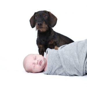 Neugeborenenes_mit_Hund_Babyfotografie_Berlin © Miriam Ellerbrake Berlin