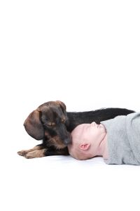Neugeborenenfoto mit Hund © Miriam Ellerbrake, Berlin