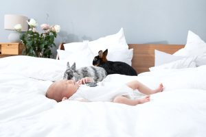 Baby mit Kaninchen © Miriam Ellerbrake / Little Monkey 2019