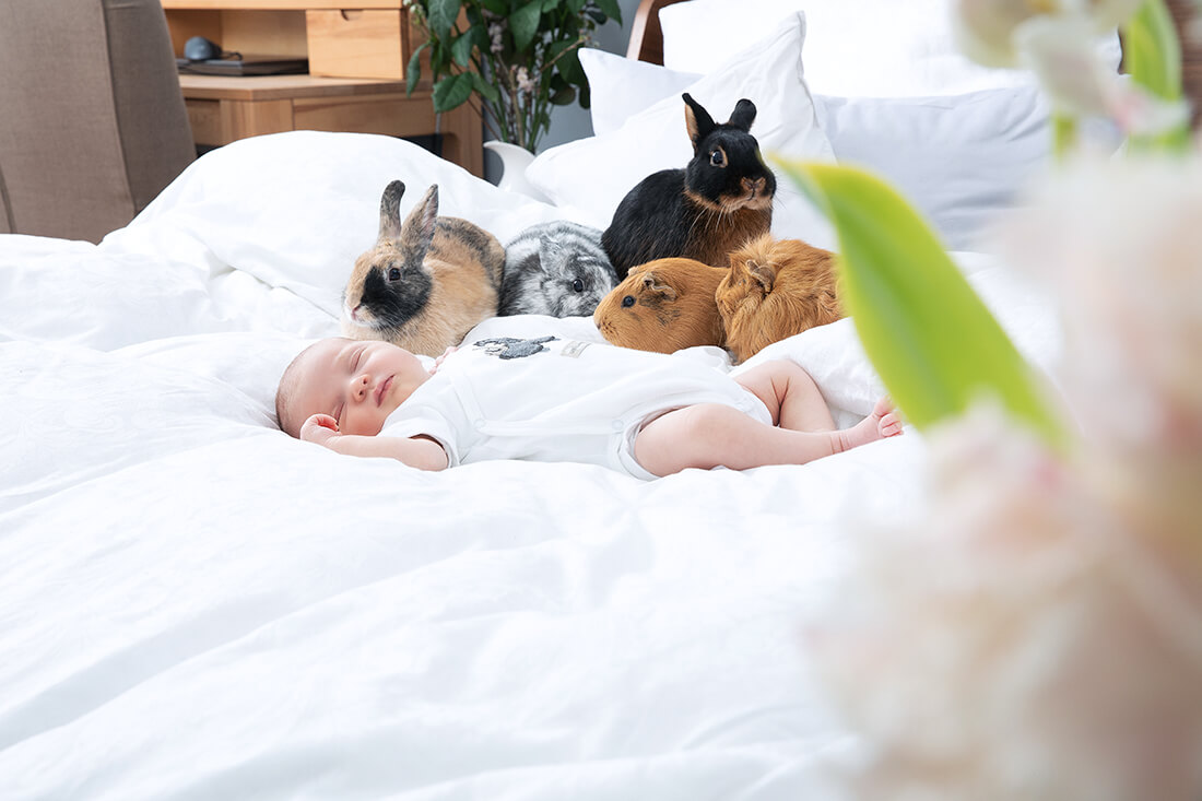 Baby mit Kaninchen © Miriam Ellerbrake / Little Monkey 2019