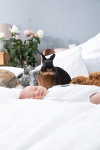 Baby mit Kaninchen © Miriam Ellerbrake / Little Monkey 2019