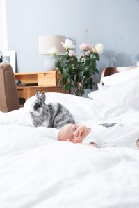 Baby mit Kaninchen © Miriam Ellerbrake / Little Monkey 2019
